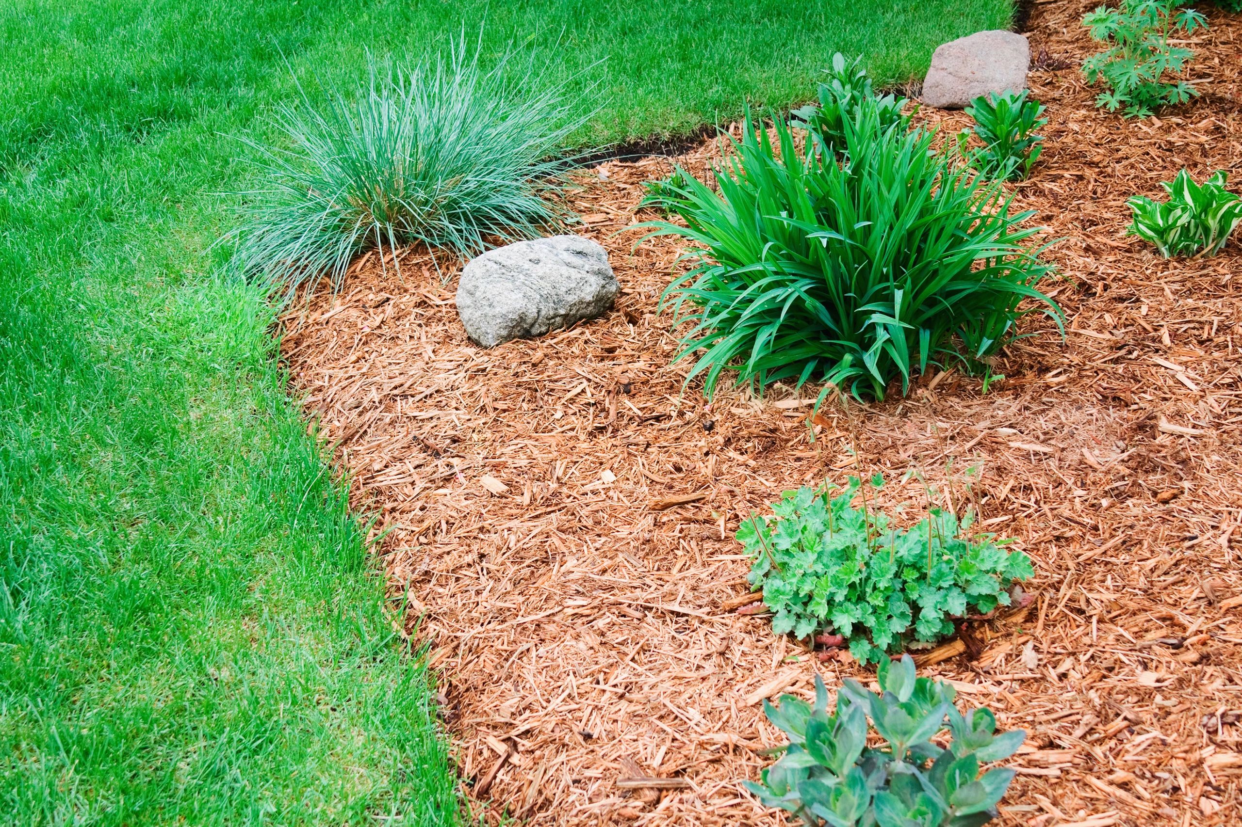 Perennial flower garden bed