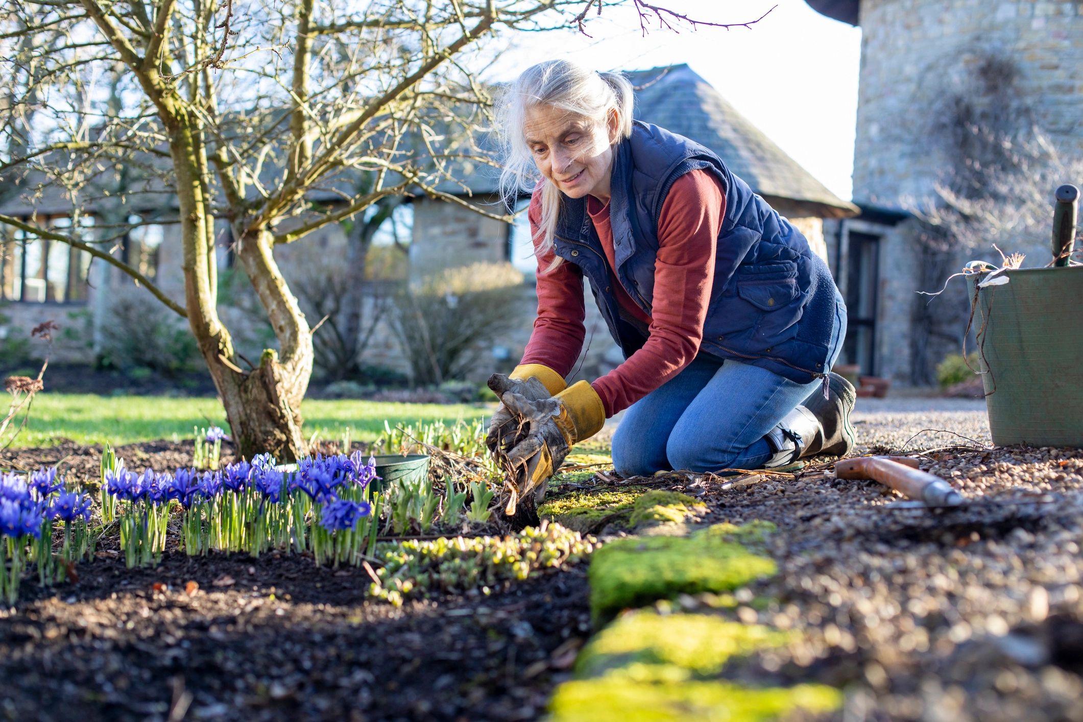 Planting flowers in a garden bed