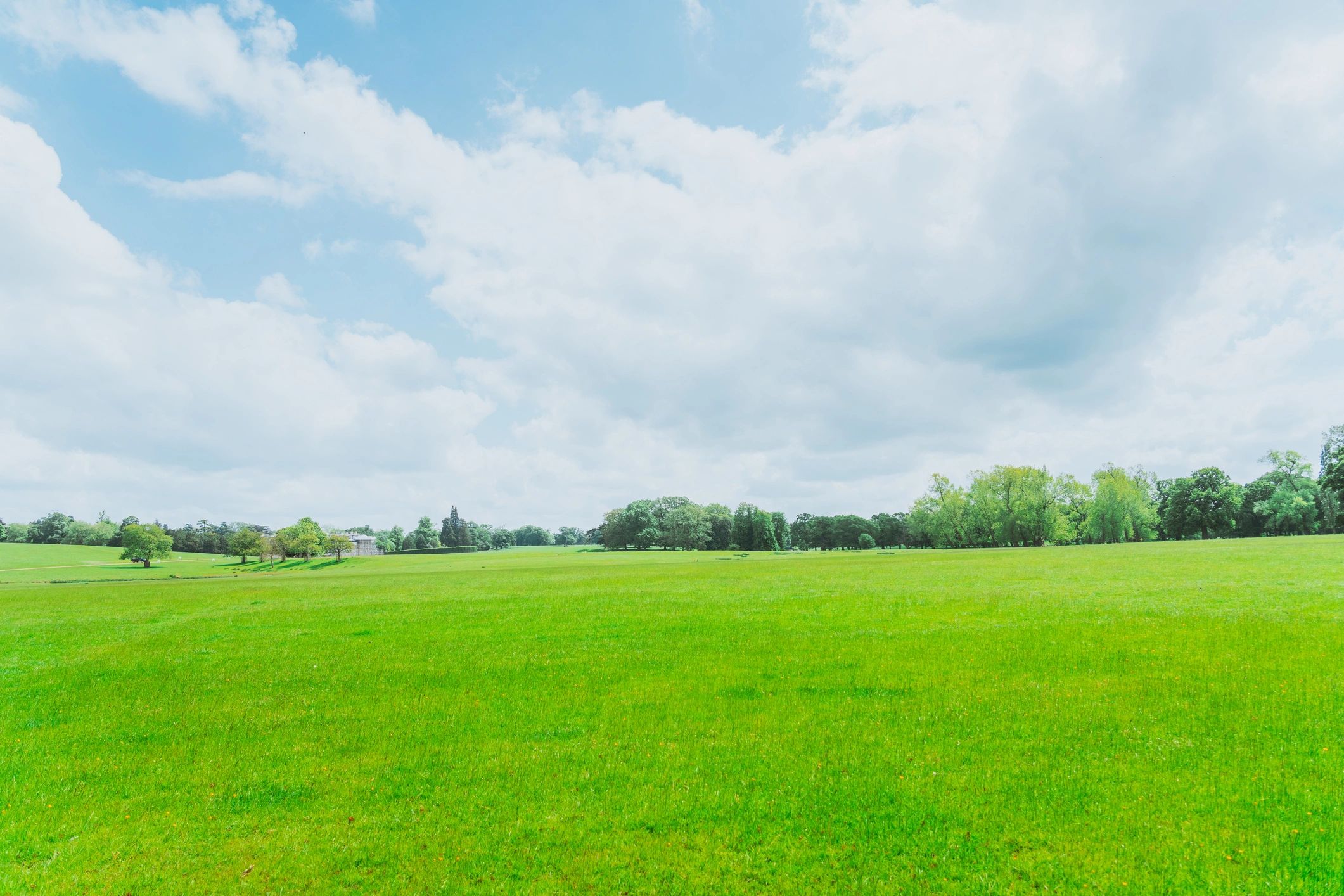 Blue sky over green meadow with trees