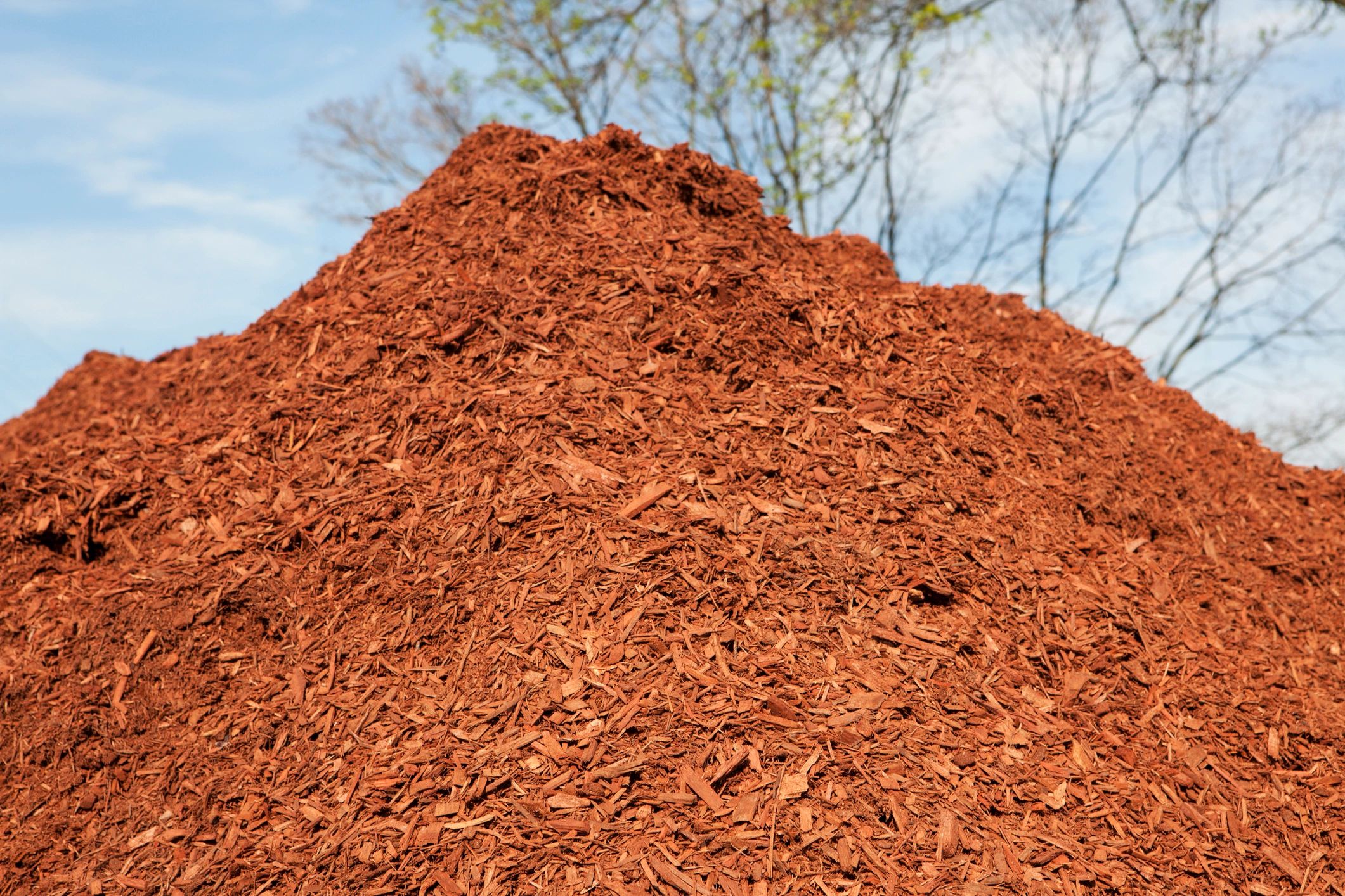 Pile of red mulch