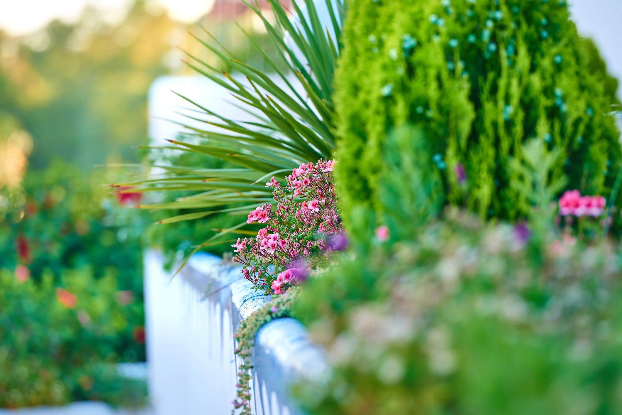 Mulched flower bed with colorful blooms