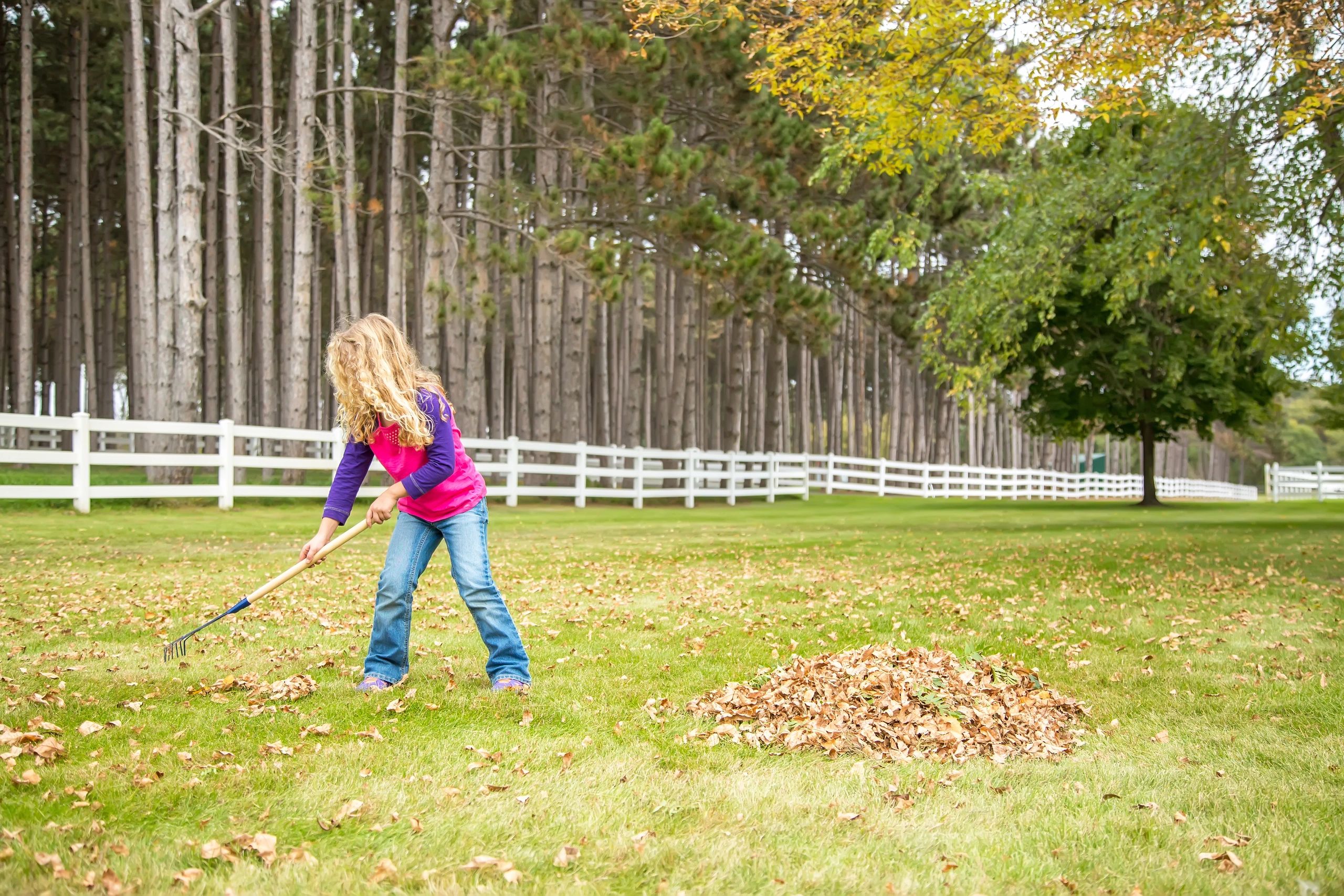 Raking leaves outdoors